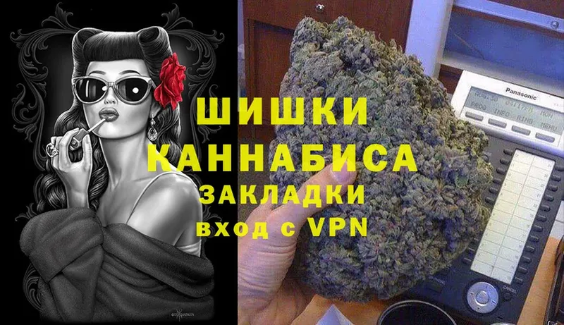 купить наркотик  Малая Вишера  MEGA как зайти  Бошки марихуана ГИДРОПОН 